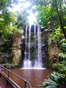 Waterfall in the jungle of Burger's ZOO 