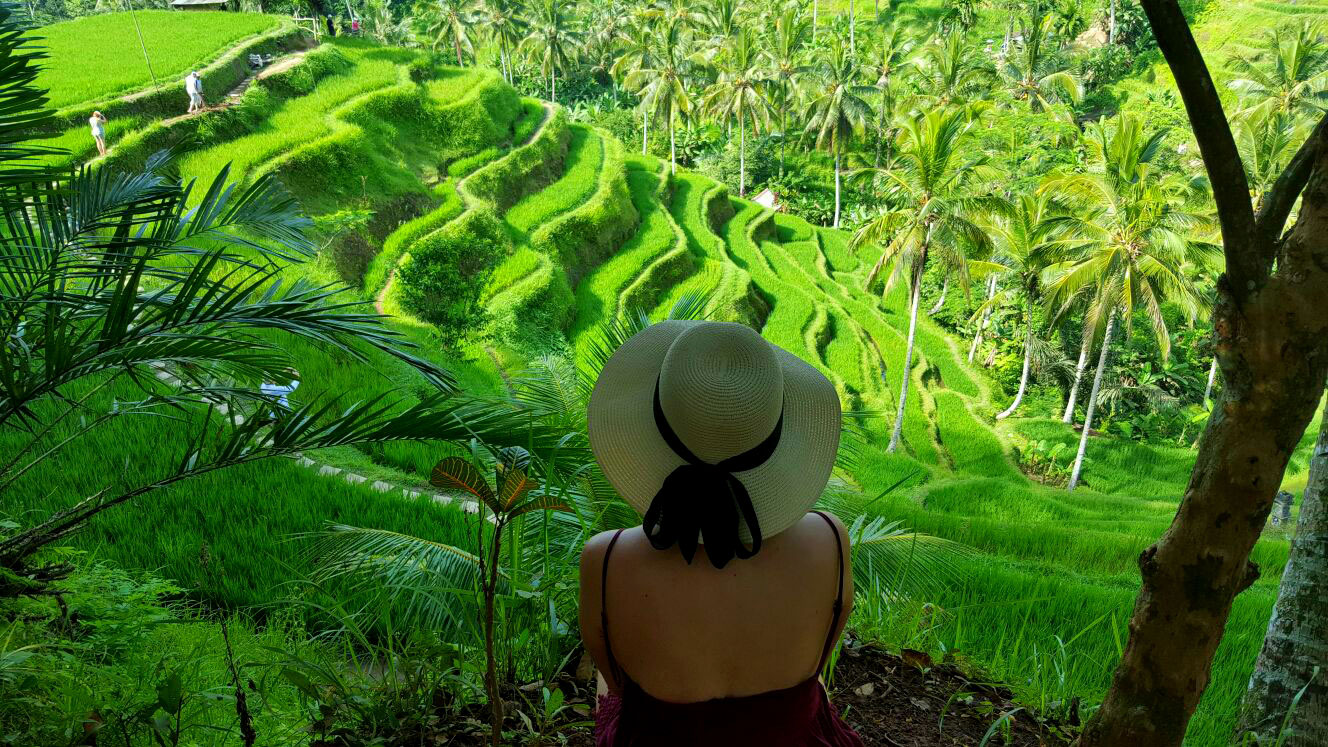 A girlgazing at the lush green rice terraces in Ubud area in central Bali indonesia 