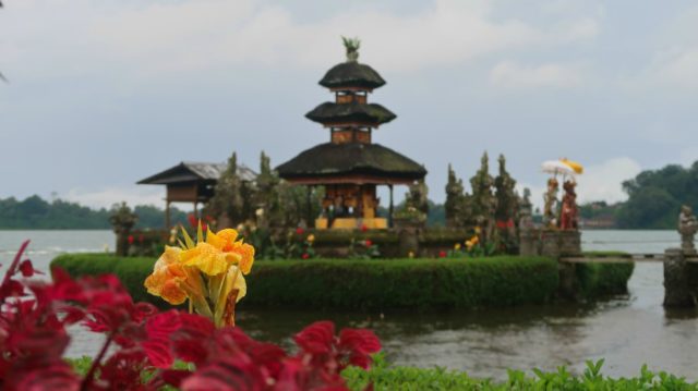 red and yellow flowers and Balinese Bratan temple 