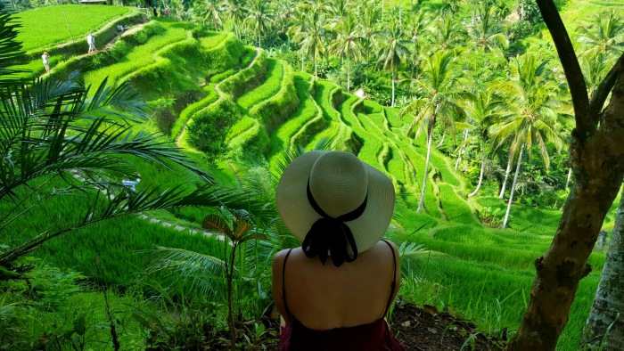 a girl with a hat gazing at the lush green rice terraces in ubud bali indonesia 