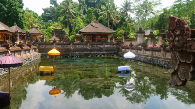 Green water of the holy spring of Pakerisan river in Tirta Empul Tampaksiring temple, central Bali