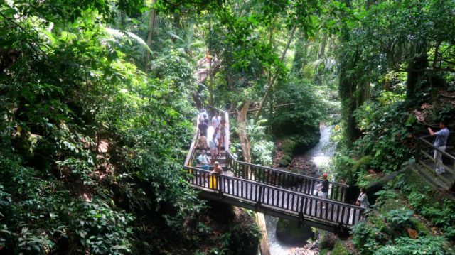 long wooden bridge over a river in Ubud Sacred Monkey Forest in Bali