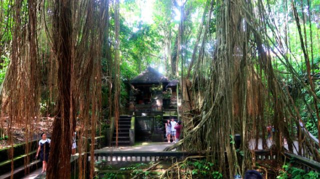 Ancient Temple in Ubud Sacred Monkey Forest in Bali 