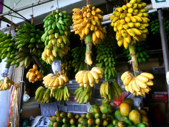 yellow and green banana bunches hanging off a food stand in a local market in Kandy in Sri Lanka 