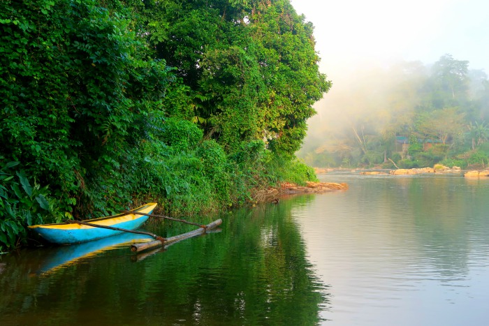 a small boat floating on the kelani river surrounded by green jungle and morning fog - sri lanka