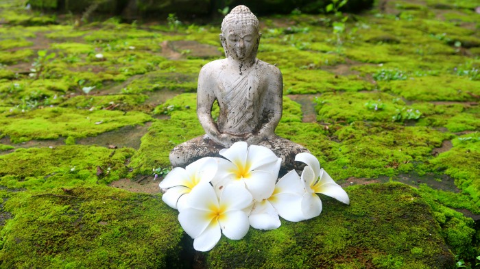 a small Buddha statue surrounded by white frangipani plumeria flowers and bright green moss in Mihintale, Sri Lanka 