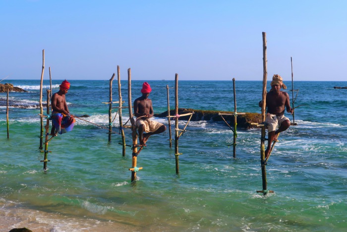 traditional fishermen of sri lanka sitting on the sticks and fishing