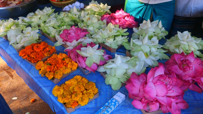 Colourful lotus flower offerings in the Bodhi Tree Temple in Sri Lanka 