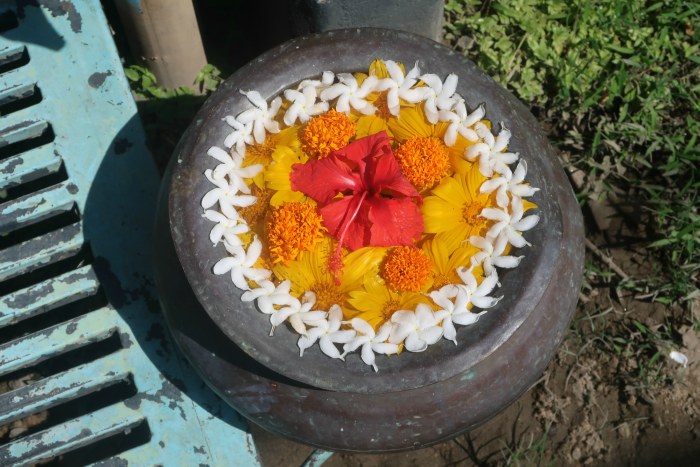 a beautiful yellow and red flower arrangement in unawatuna sri lanka 