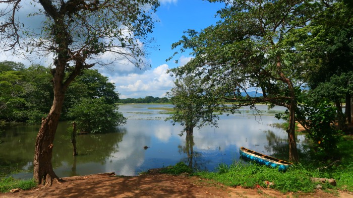 Habarana lake with green trees, blue sky and a small boat in Sri Lanka 