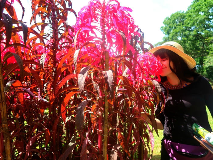a girl with a hat smelling the big pink flowers in the Royal botanical garden in Kandy, Peradeniya in Sri Lanka 