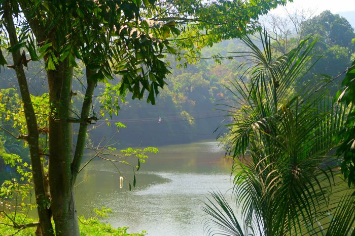 the hanging bridge in the middle of the jungle over the kelani river in kitulgala sri lanka 