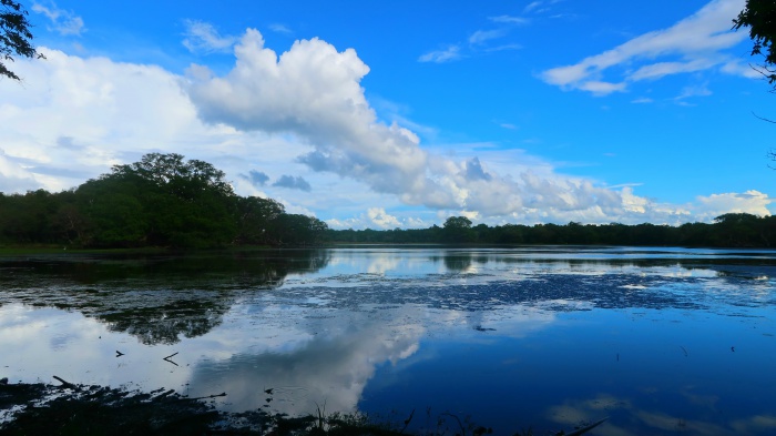 Reflection of clouds and trees in the blue lake in Wilpattu national park safari in Sri Lanka