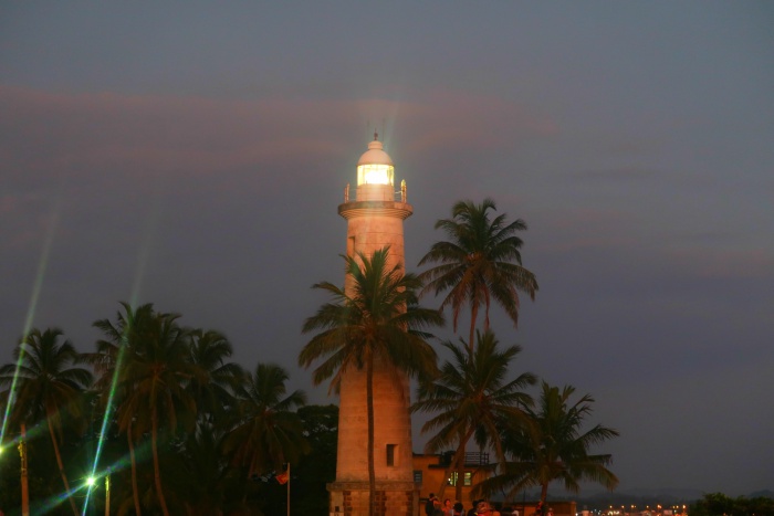 galle lighthouse surrounded by tall palm trees at night sri lanka