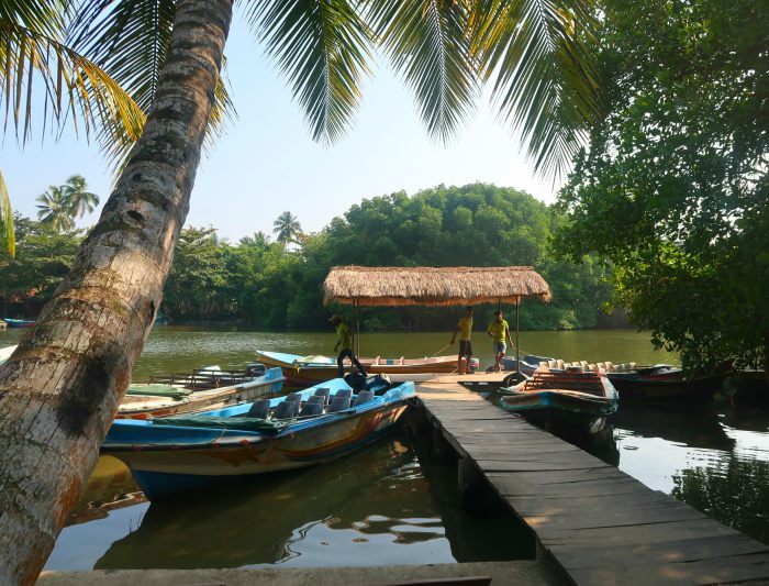 madu river boat safari dock in southern sri lanka 