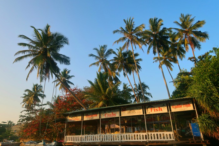 a restaurant on the bank of madu river in sri lanka and tall palm trees growing above it