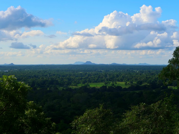 the view of the lush green jungle as seen from the top of sigiriya rock fortress in sri lanka 