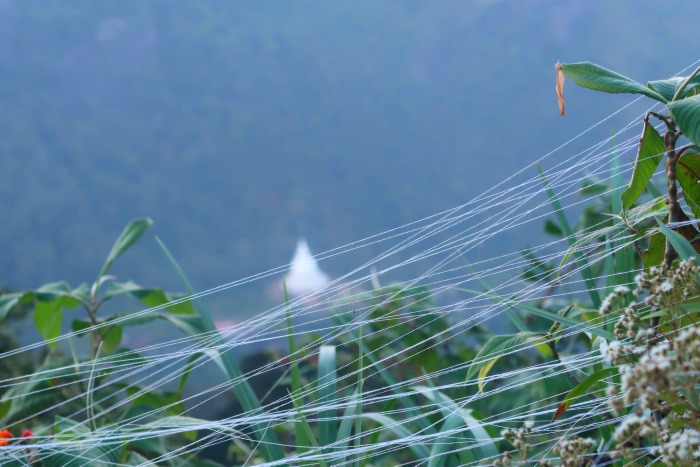 white threads on the way to the top of adams peak and the white stupa in the distance