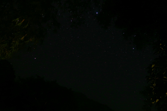 starry night in the jungle in kitulgala in sri lanka 