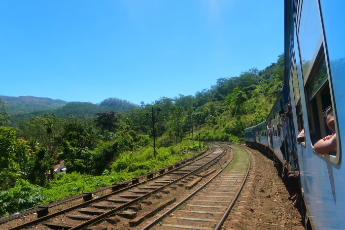 scenic train ride from Kandy to Hatton with a blue sri lankan train and the green jungle surroudings 