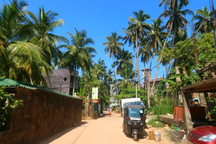 streets of unawatuna in sri lanka surrounded with tall palm trees and a tuk tuk on the road 