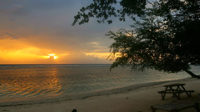 magical sunset on a sandy beach, a wooden bench and a tree in gili trawangan indonesia