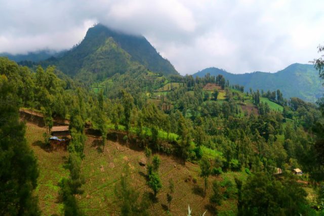 highlands of java indonesia 