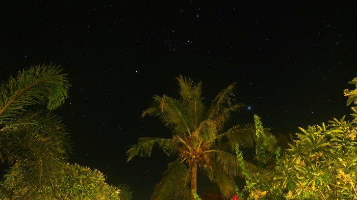 sky full of stars, the orion star constellation and green tropical palm trees in gili trawangan indonesia 