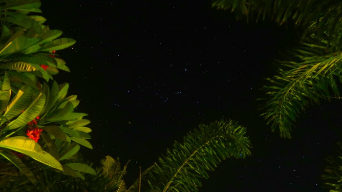 sky full of stars and green palm trees in gili trawangan indonesia 