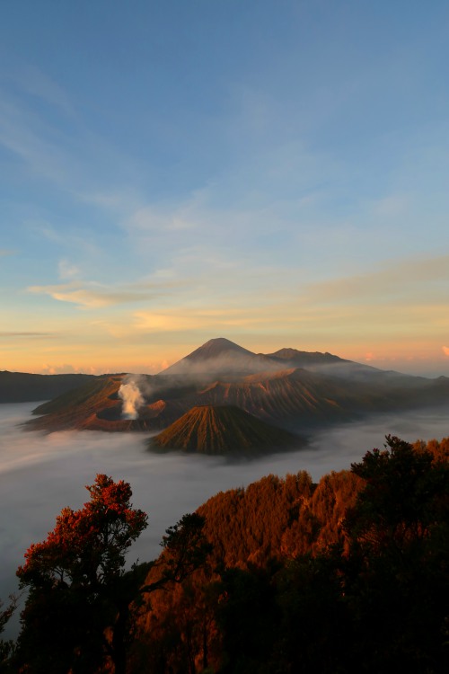 bromo tengger semeru volcanoes in Java indonesia at sunrise as seen from the viewpoint 
