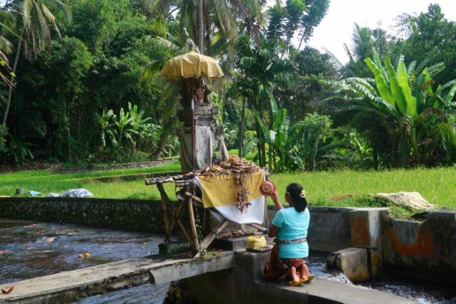 A Balinese woman doing her prayers - praying 