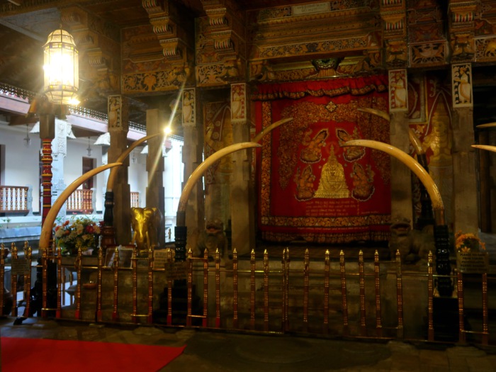 an altar and huge elephant tusks inside of the holy tooth relic temple in kandy in sri lanka 